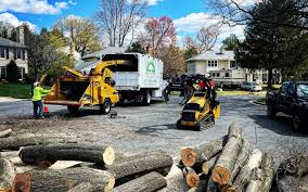 Why Choose Our Tree Removal Services in Lincoln Park, NJ?