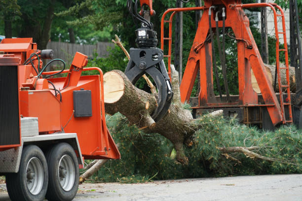 Best Firewood Processing and Delivery  in Lincoln Park, NJ